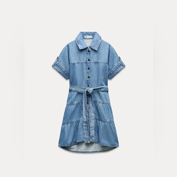 Zara Collection Denim Button-Up Dress - Picture 3 of 9